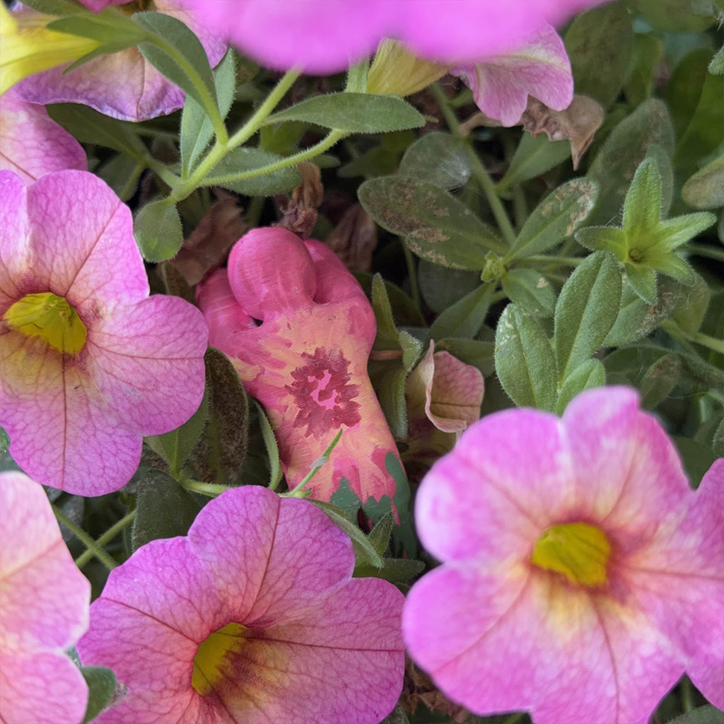 Kit de 8 Meccha Chameleon IRL