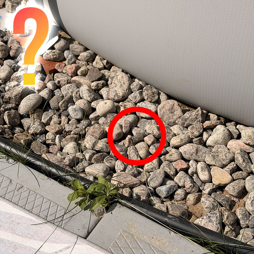 Kit de 8 Meccha Chameleon IRL